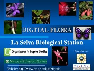 DIGITAL FLORA