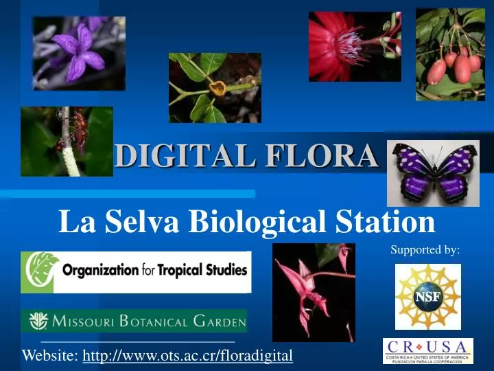 digital flora