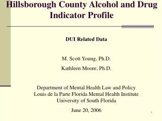 Hillsborough County Alcohol and Drug Indicator Profile