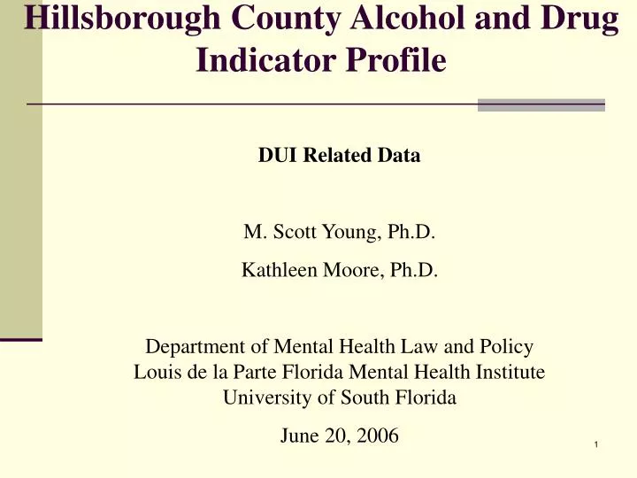 hillsborough county alcohol and drug indicator profile