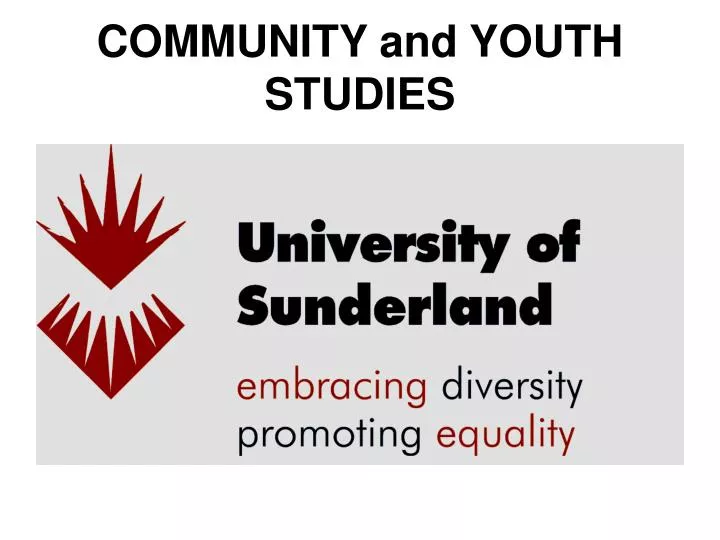 community and youth studies