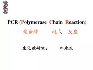 pcr p olymerase c hain r eaction