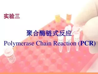 polymerase chain reaction pcr