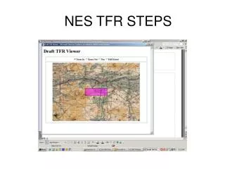 NES TFR STEPS