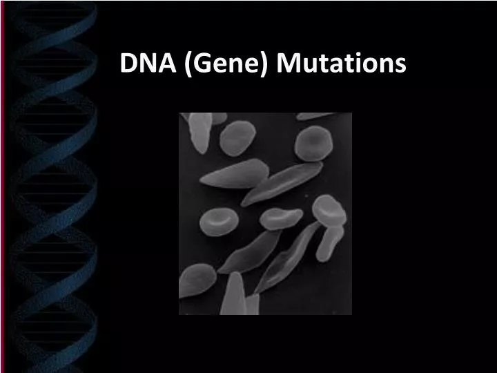 dna gene mutations