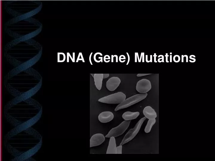 dna gene mutations