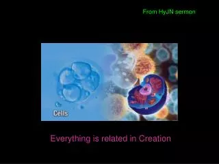 Everything is related in Creation