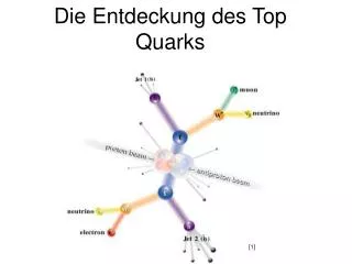 die entdeckung des top quarks