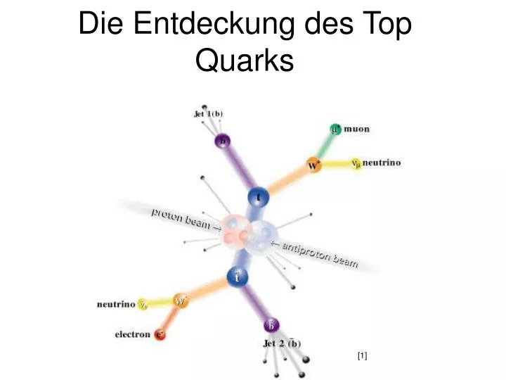 die entdeckung des top quarks