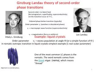 Ginzburg-Landau theory of second-order phase transitions