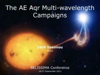 The AE Aqr Multi-wavelength Campaigns