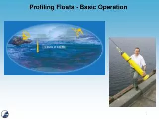 Profiling Floats - Basic Operation