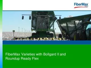 FiberMax & Stoneville-Bollgard II & Roundup Ready Flex