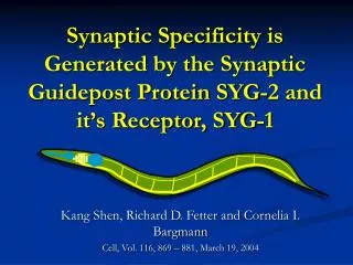 Synaptic Specificity is Generated by the Synaptic Guidepost Protein SYG-2 and it’s Receptor, SYG-1
