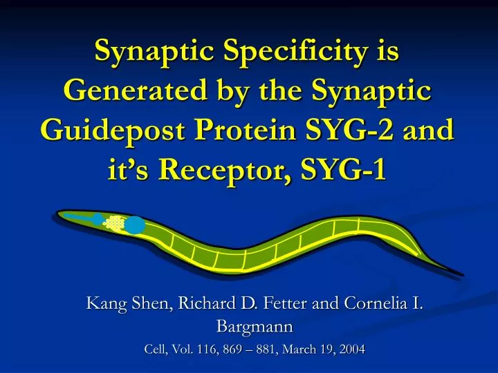 synaptic specificity is generated by the synaptic guidepost protein syg 2 and it s receptor syg 1