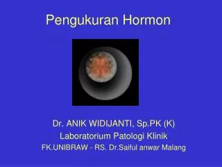 pengukuran hormon