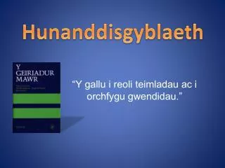 hunanddisgyblaeth