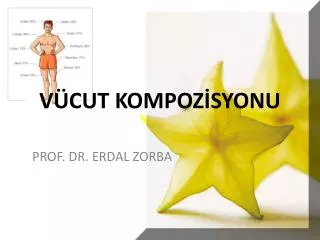 v cut kompoz syonu