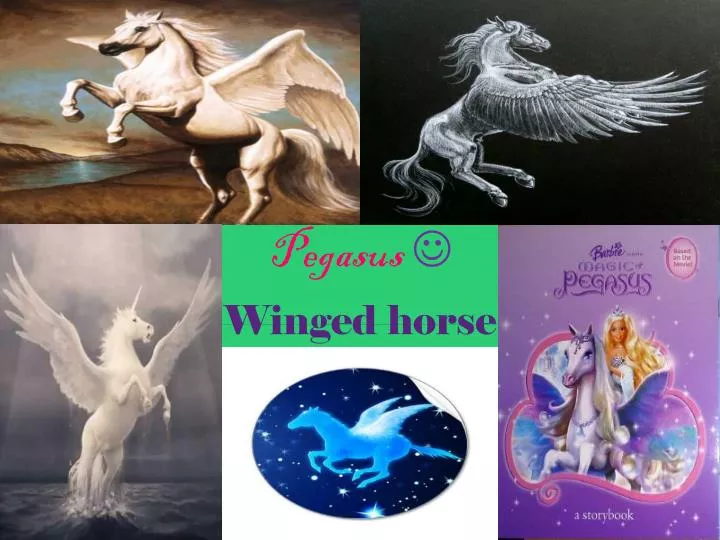 pegasus