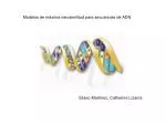 Modelos de máxima verosimilitud para secuencias de ADN - slide 1