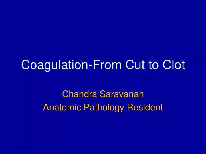 coagulation from cut to clot