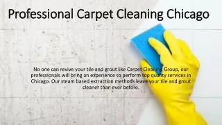 Professional Carpet Cleaning Chicago