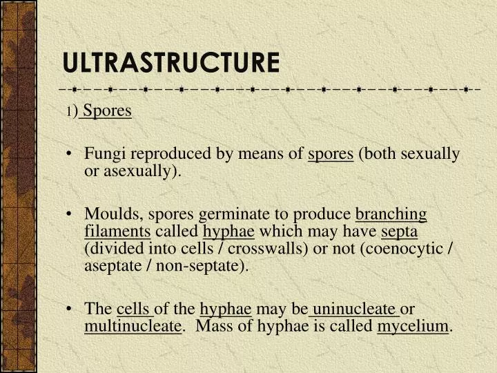 ultrastructure