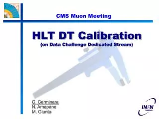 HLT DT Calibration (on Data Challenge Dedicated Stream)