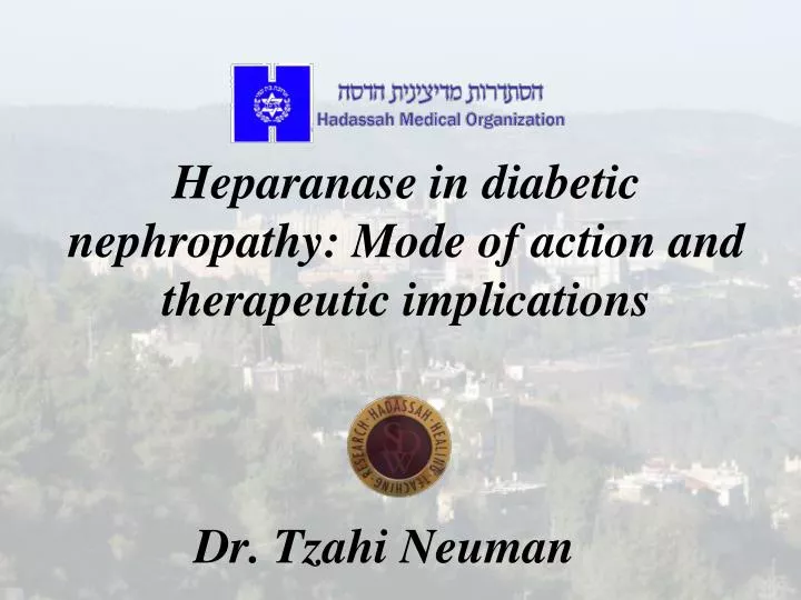 heparanase in diabetic nephropathy mode of action and therapeutic implications