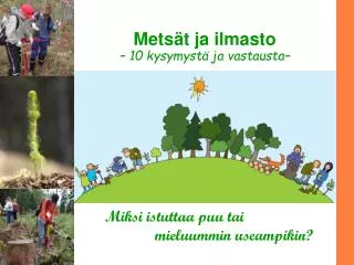 mets t ja ilmasto