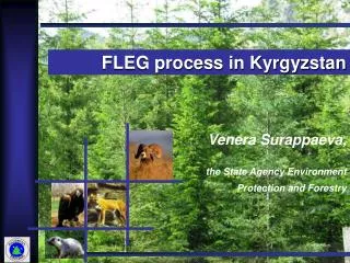Venera Surappaeva, the State Agency Environment Protection and Forestry