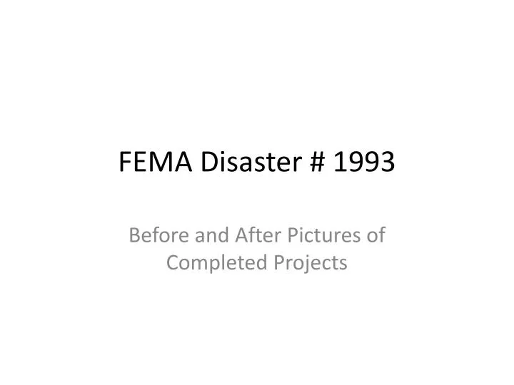 fema disaster 1993