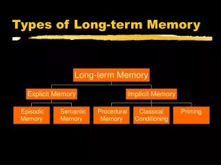 Types of Long-term Memory