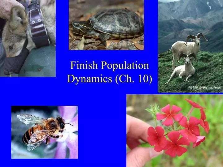 finish population dynamics ch 10
