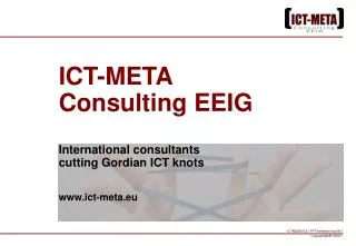 ICT-META Consulting EEIG