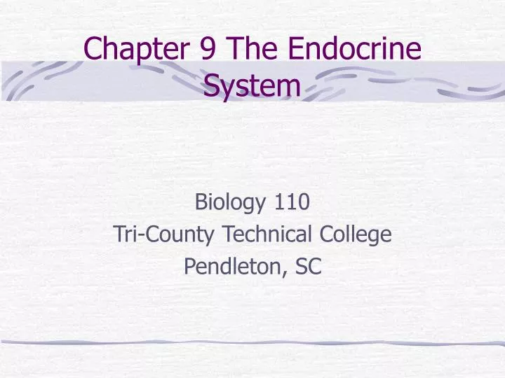 chapter 9 the endocrine system