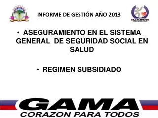informe de gesti n a o 2013