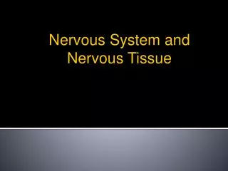 Nervous System and Nervous Tissue