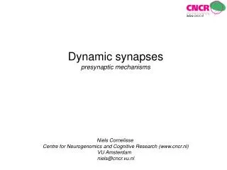 Dynamic synapses presynaptic mechanisms Niels Cornelisse