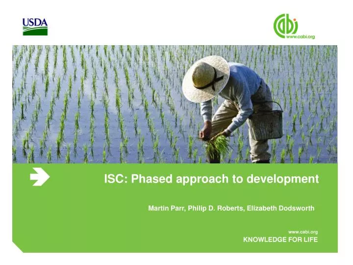isc phased approach to development