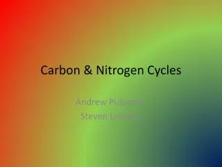 Carbon &amp; Nitrogen Cycles