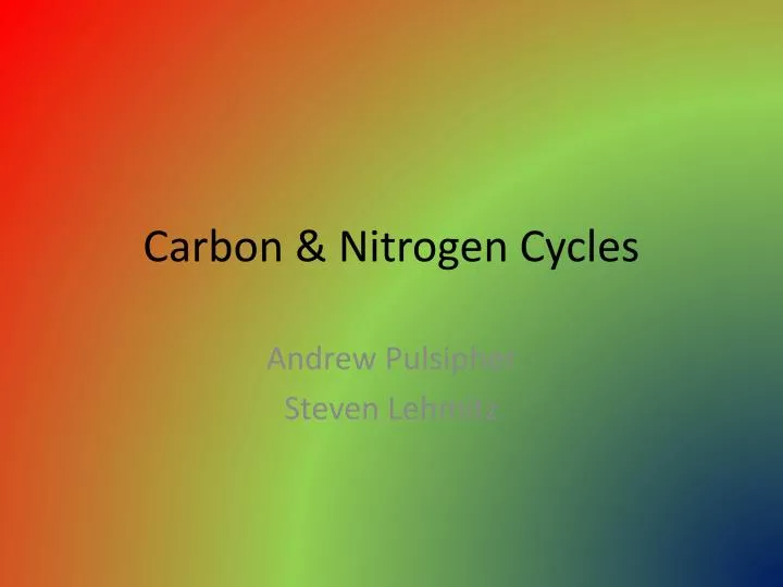 carbon nitrogen cycles