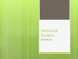 Muscular System