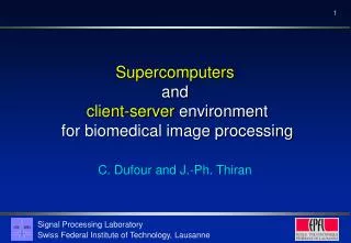 Supercomputers and client-server environment for biomedical image processing