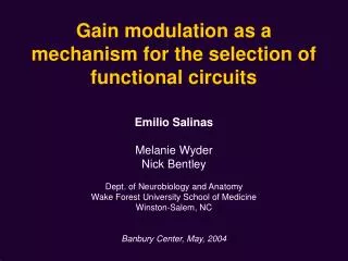 Gain modulation as a mechanism for the selection of functional circuits