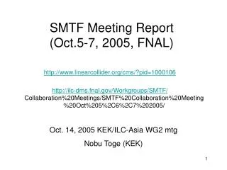 SMTF Meeting Report (Oct.5-7, 2005, FNAL)