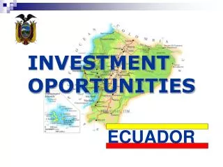 INVESTMENT OPORTUNITIES