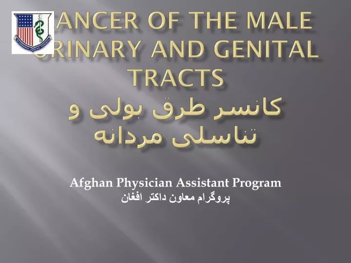 cancer of the male urinary and genital tracts