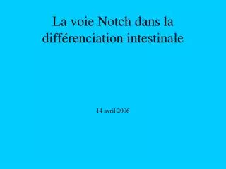 la voie notch dans la diff renciation intestinale