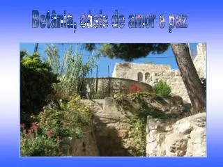 Betânia, oásis de amor e paz